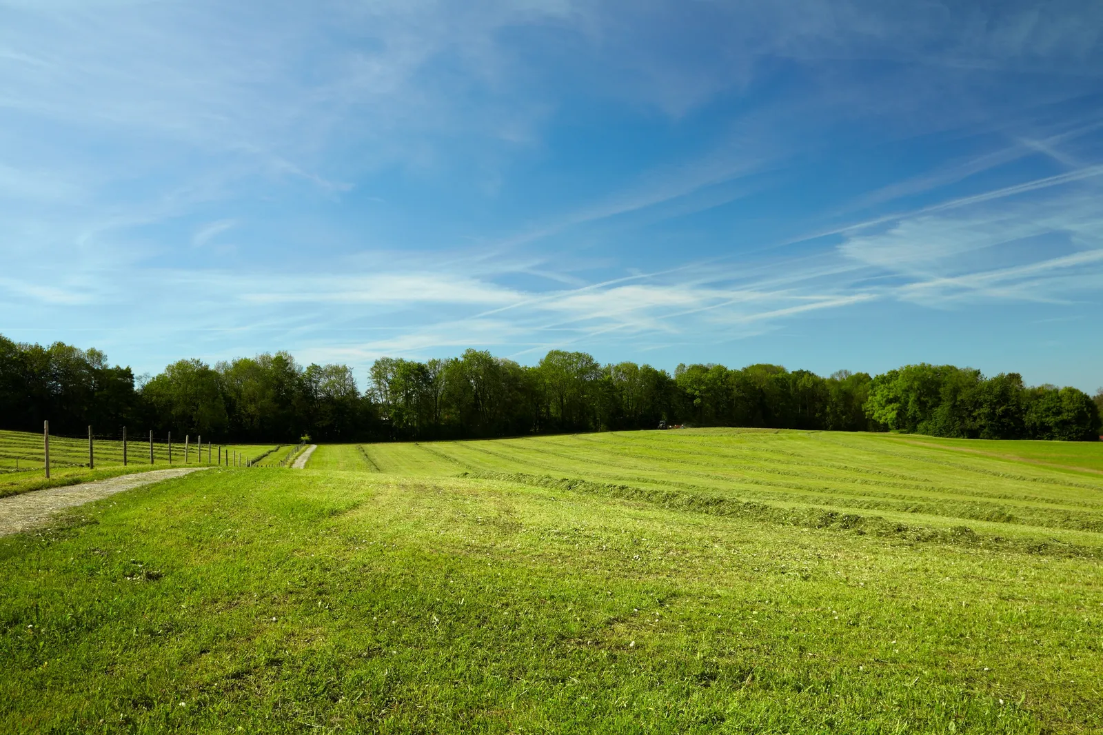 Father Paul turns Flynn scene in Midnight Mass