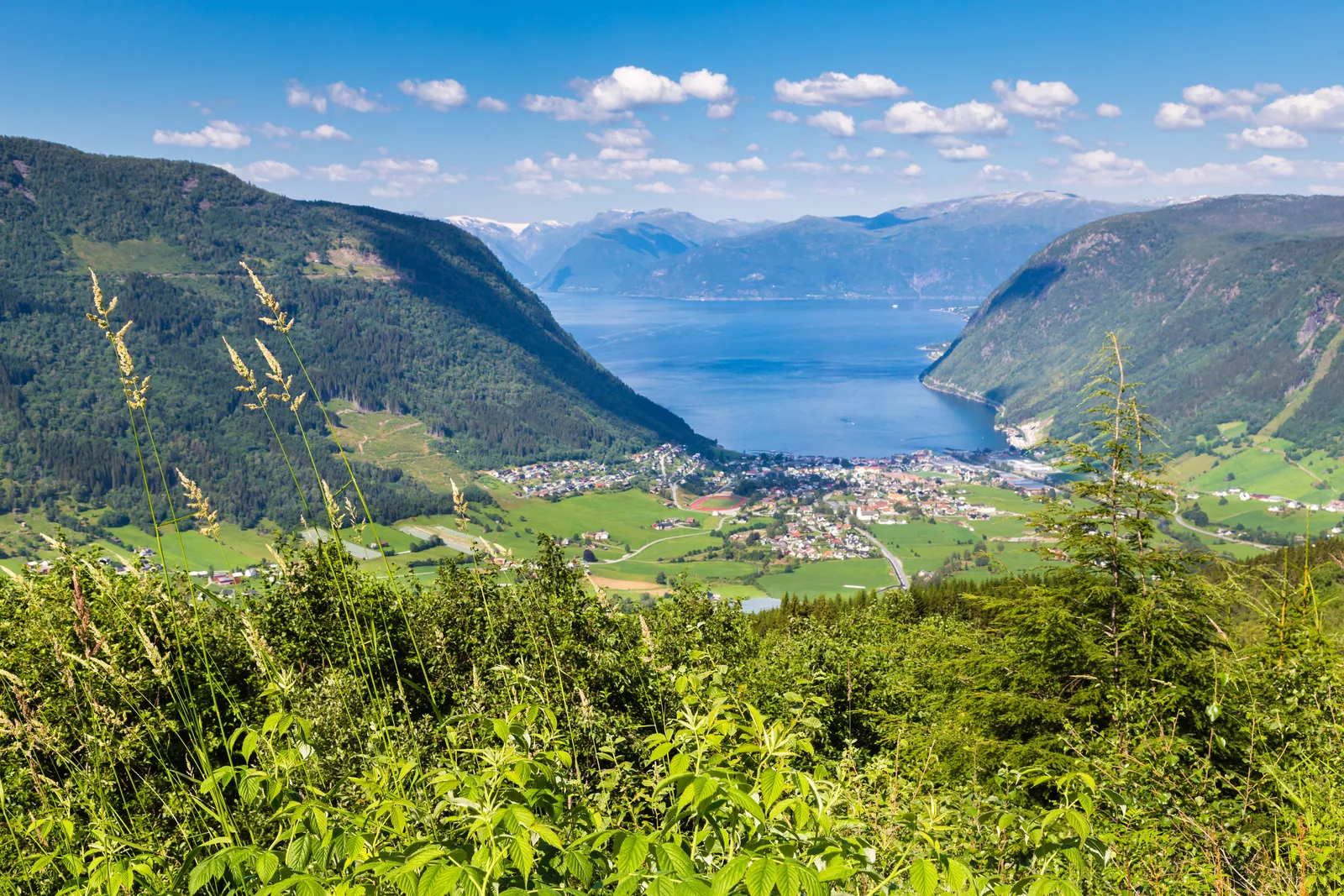 Ivar tells his companion to kill someone because he is annoyed scene in Vikings