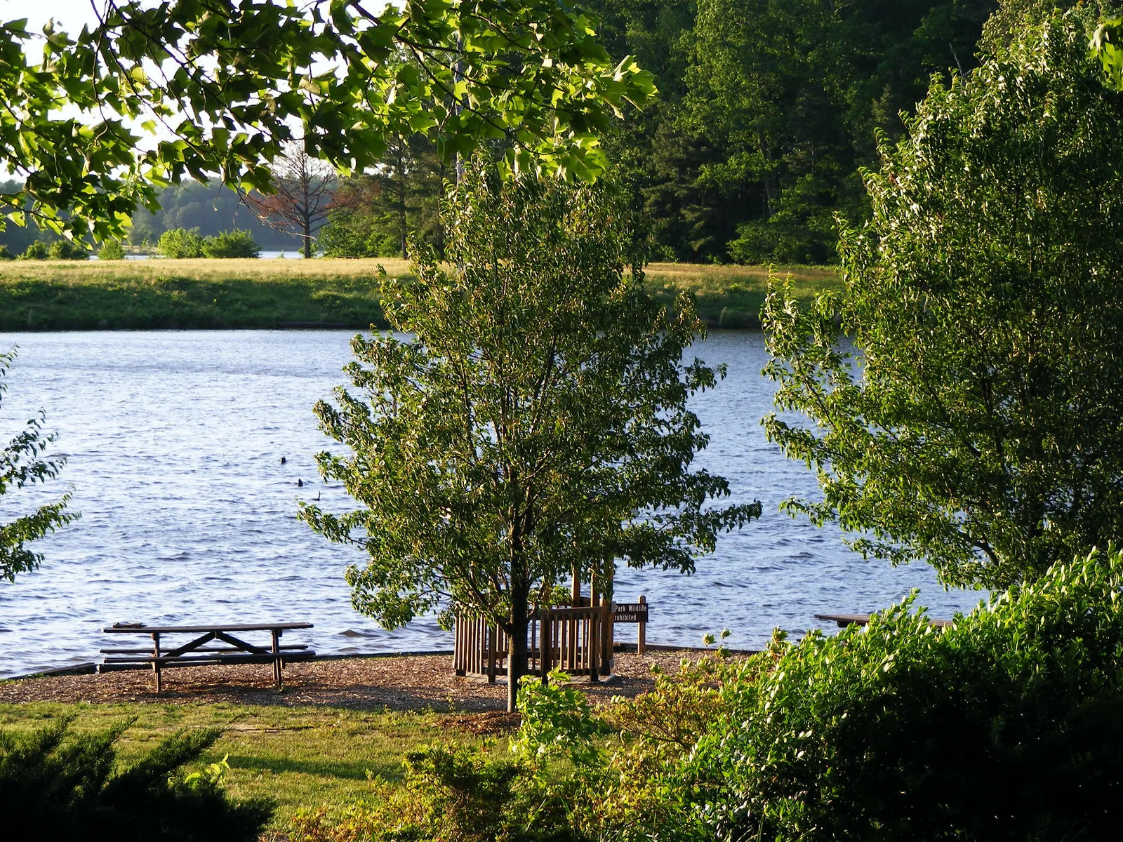 Anderton drives Agatha away scene in Minority Report