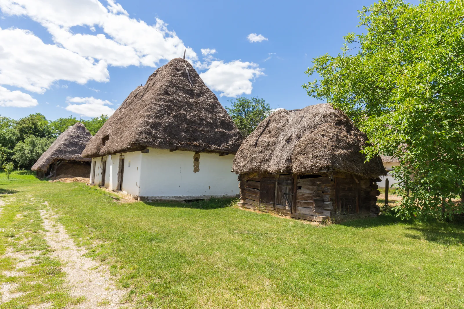 Looking for a tracking party scene in Shadow and Bone