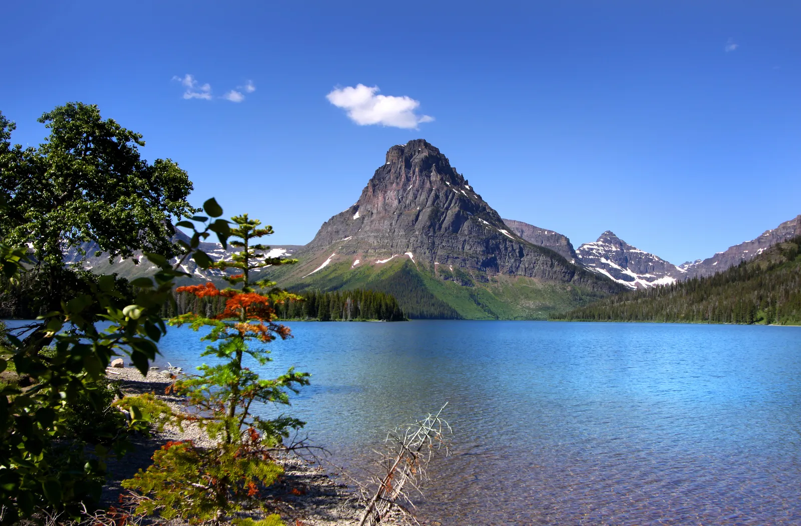 Ella and James enter the town with the carriage scene in Heaven's Gate 