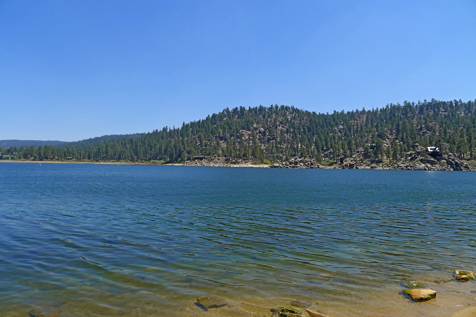 Sam throws Billy in the river scene in North To Alaska