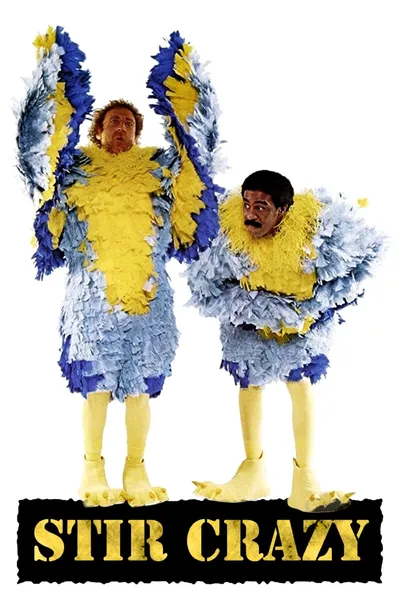 Stir Crazy movie cover