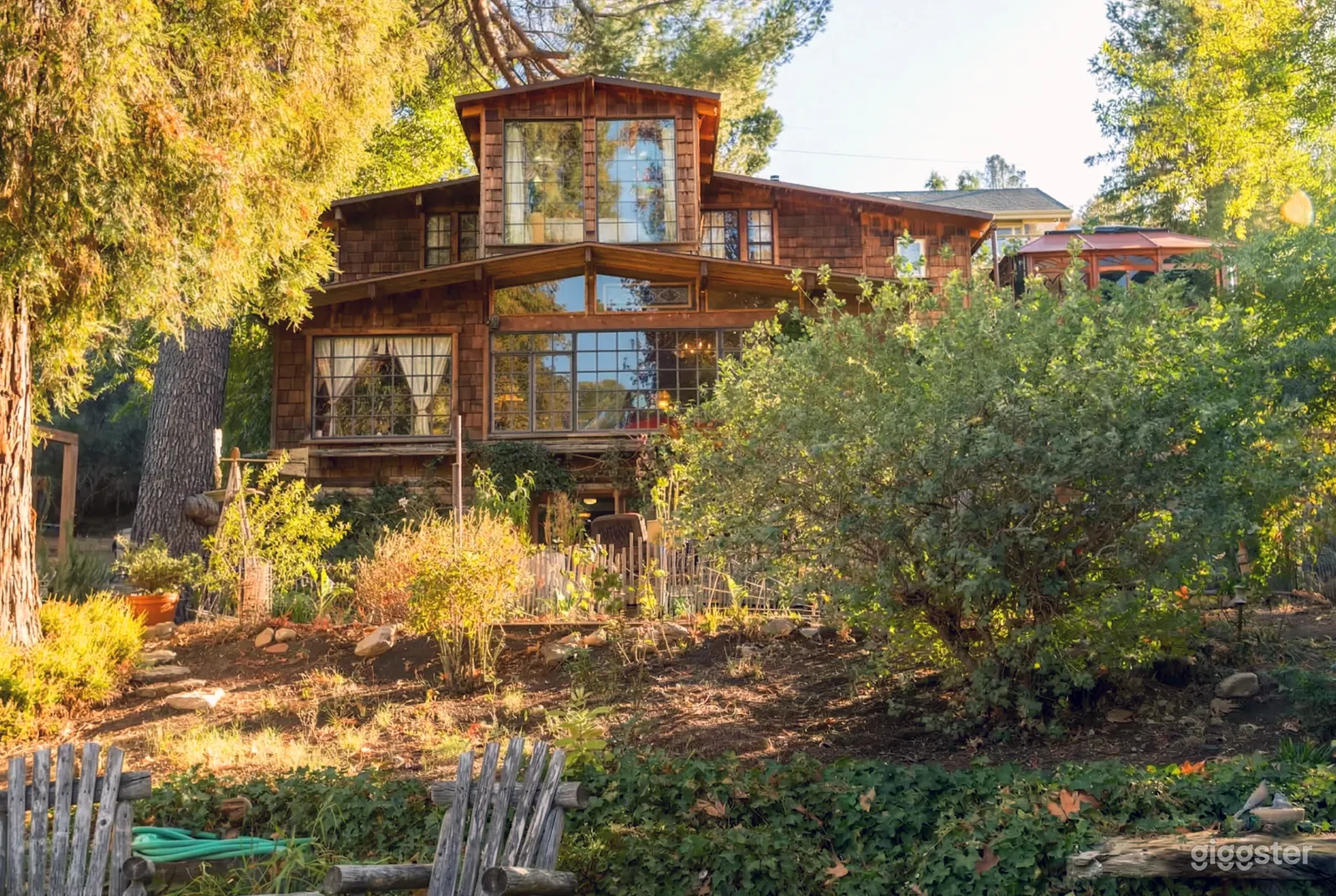 A house with full windows overlooks an untamed garden area with large trees and bushes.