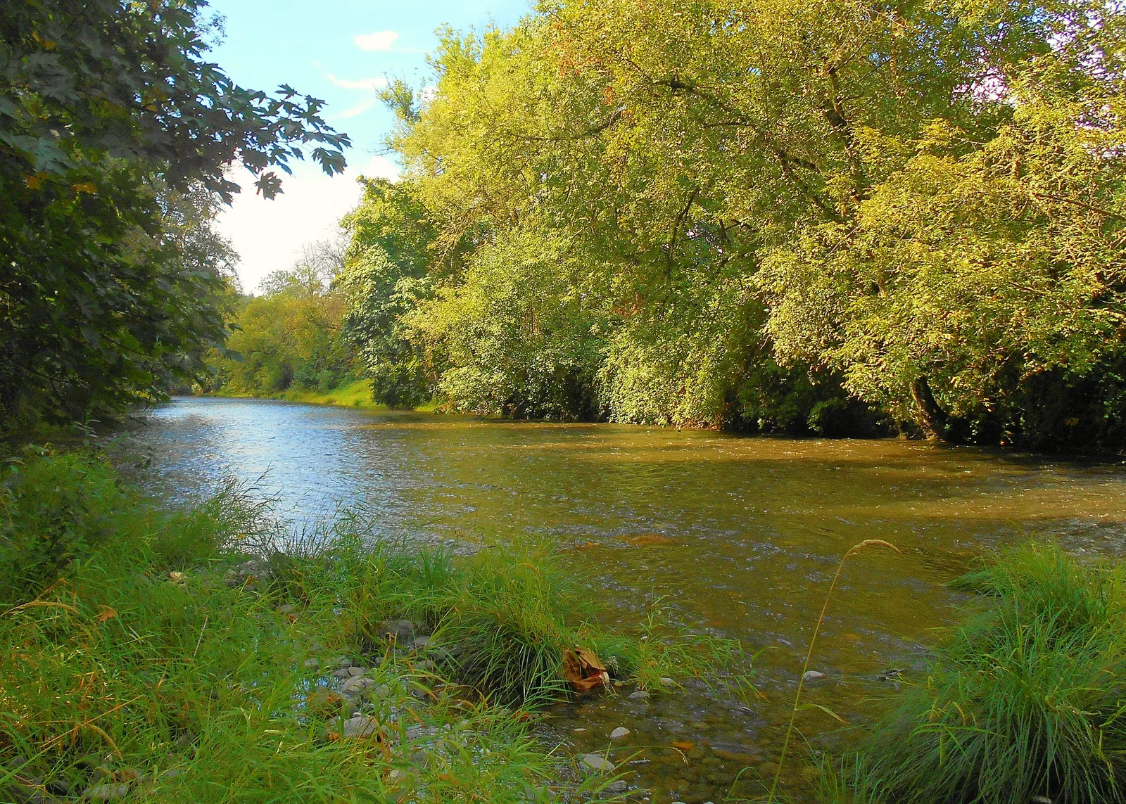 The revenge of Lardass Hogan scene in Stand By Me 