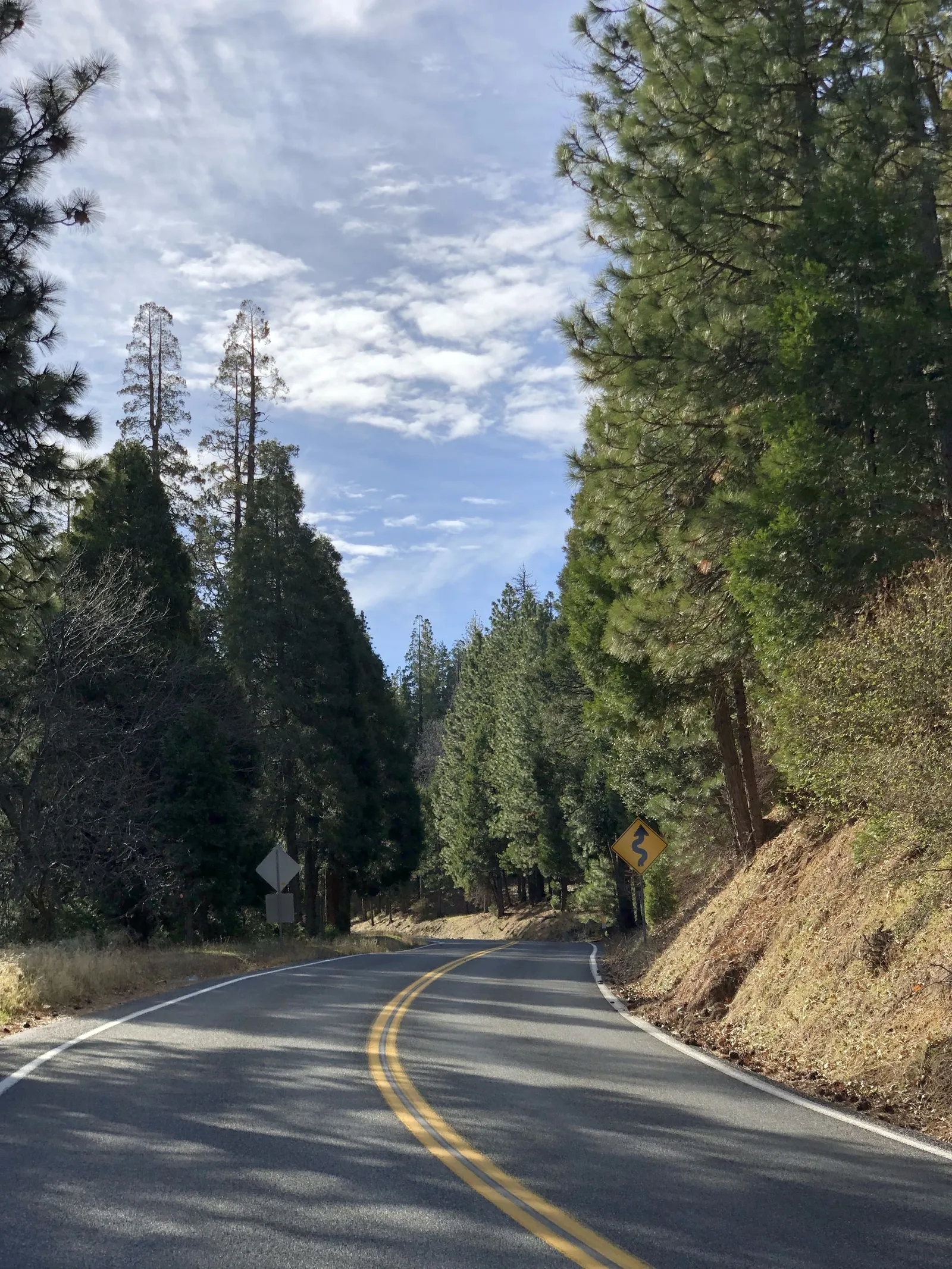 Maggie dies scene in City of Angels