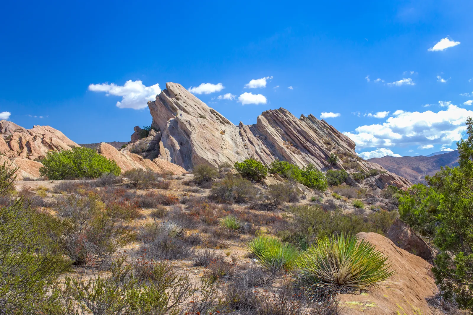 Victoria Barkley delivers good news scene in The Big Valley