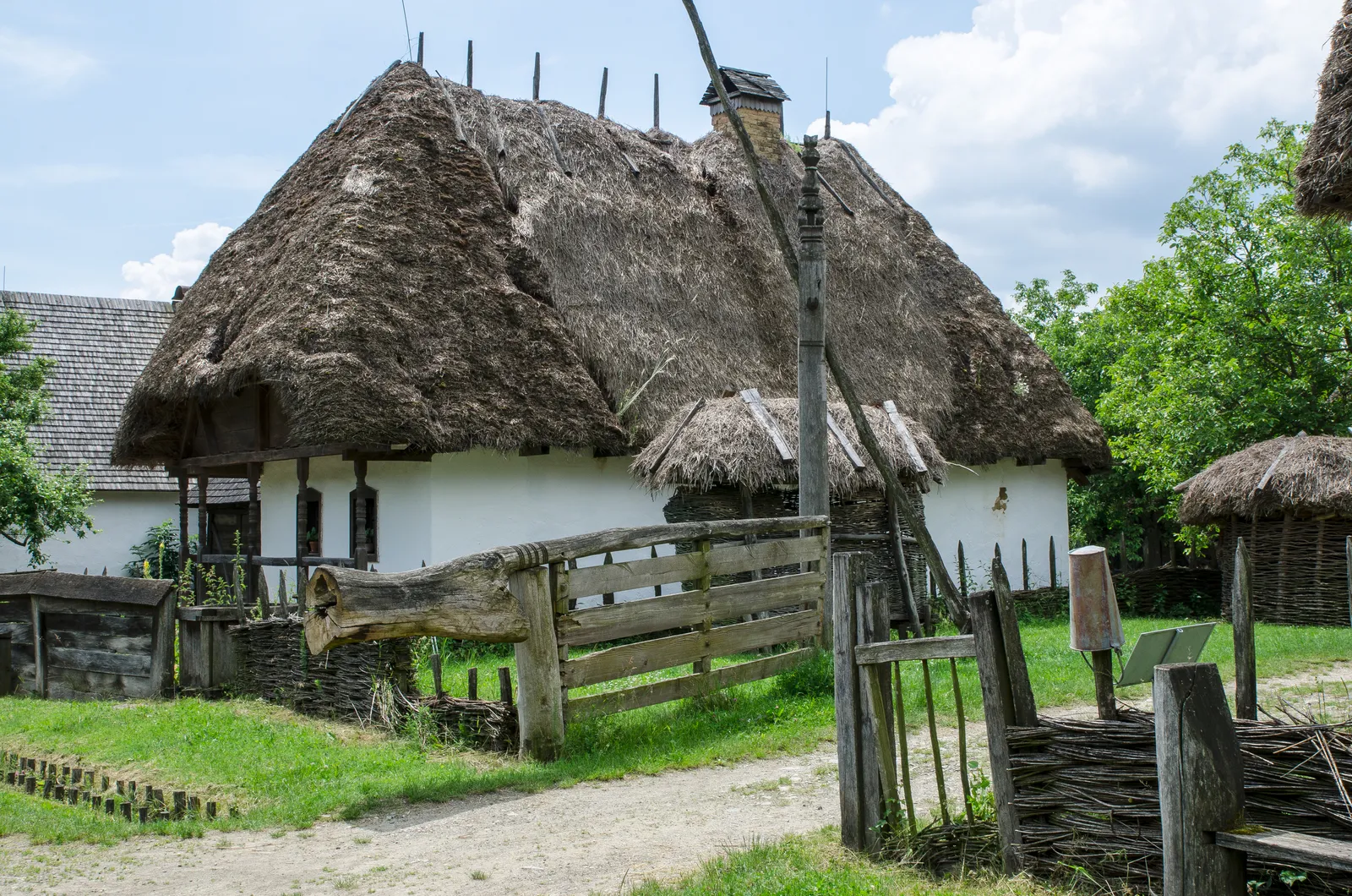 Yennefer’s origin scene in The Witcher  