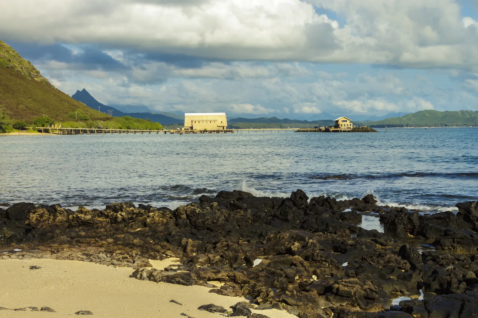 Zach and Gray search for their aunt Claire scene in Jurassic World
