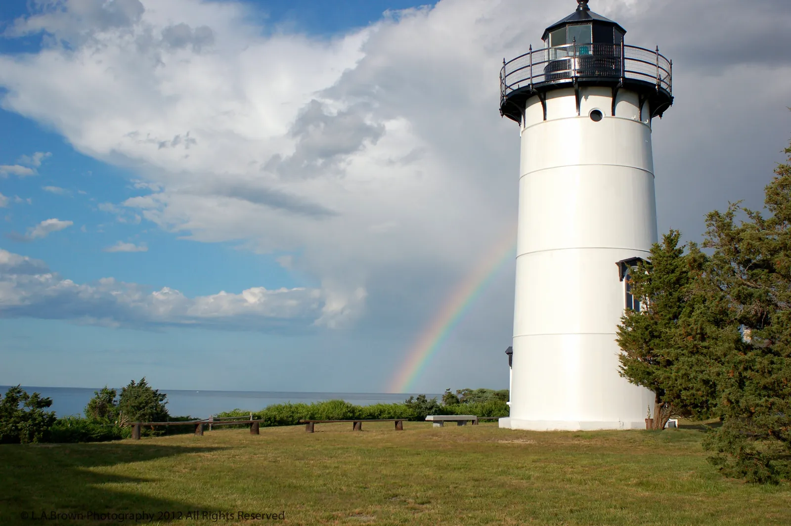 Killing the shark scene in Jaws