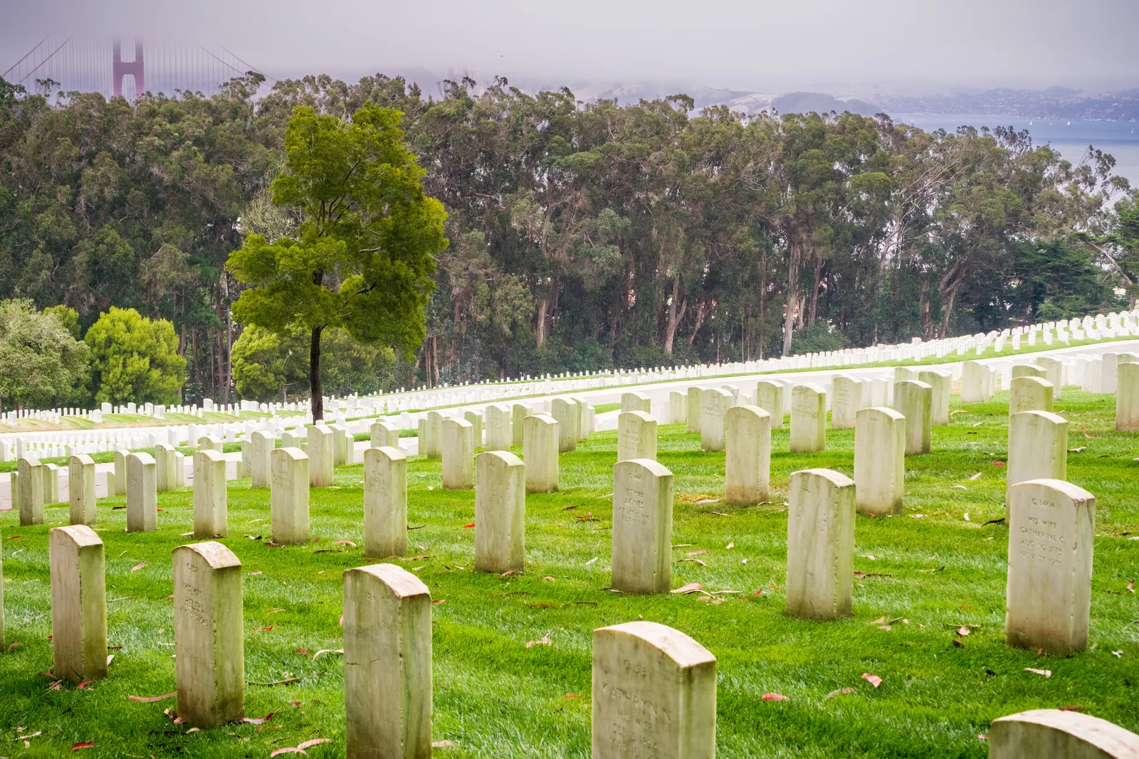Dave’s funeral scene in An Eye for an Eye