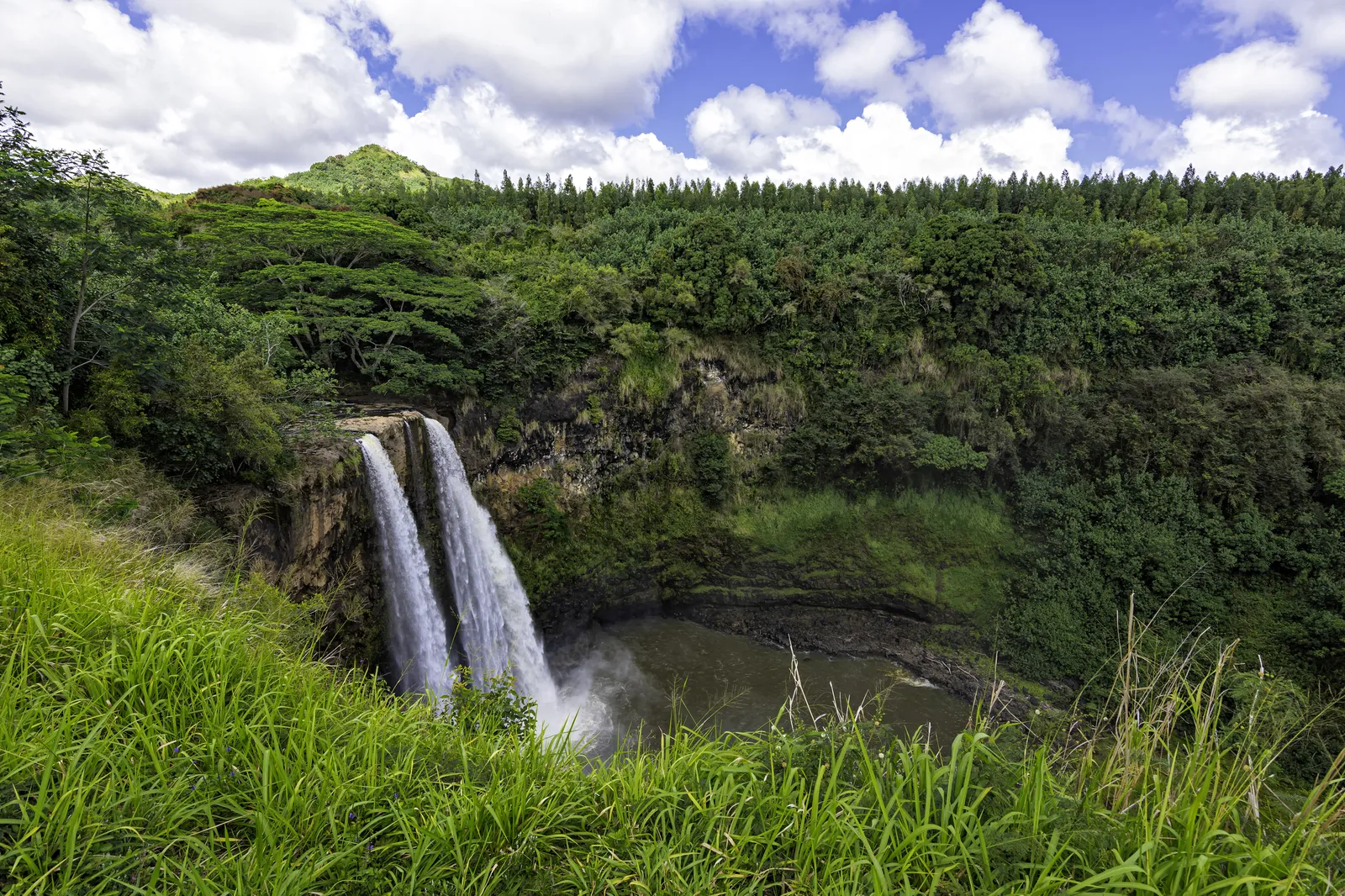 Gray and Zach jump from the waterfall to escape the Indominus Rex scene in Jurassic World