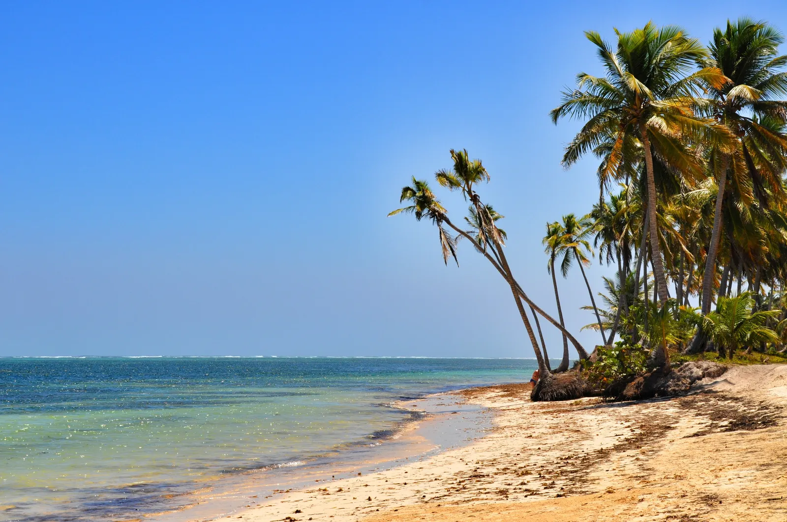 Jack recruits a crew for his misadventures in Pirates of the Caribbean