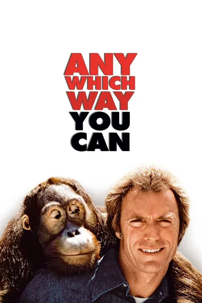 Any Which Way You Can movie cover