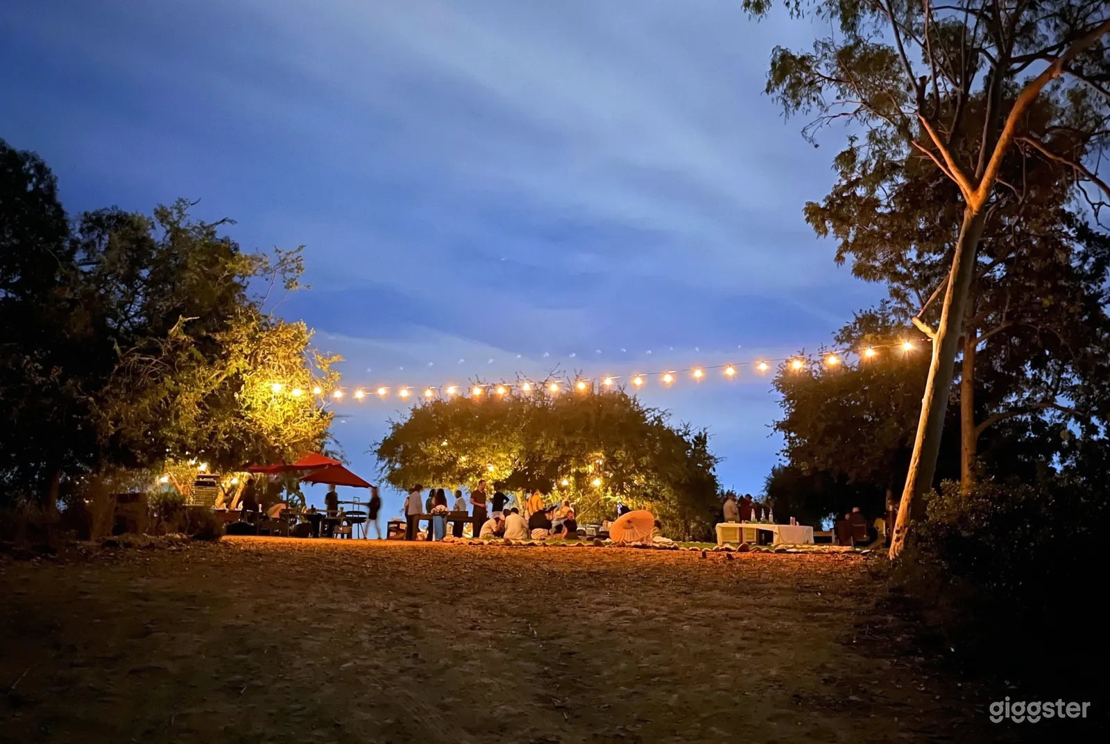 People are gathered at dusk under string lights in a treed backyard with an umbrella, food and drink.