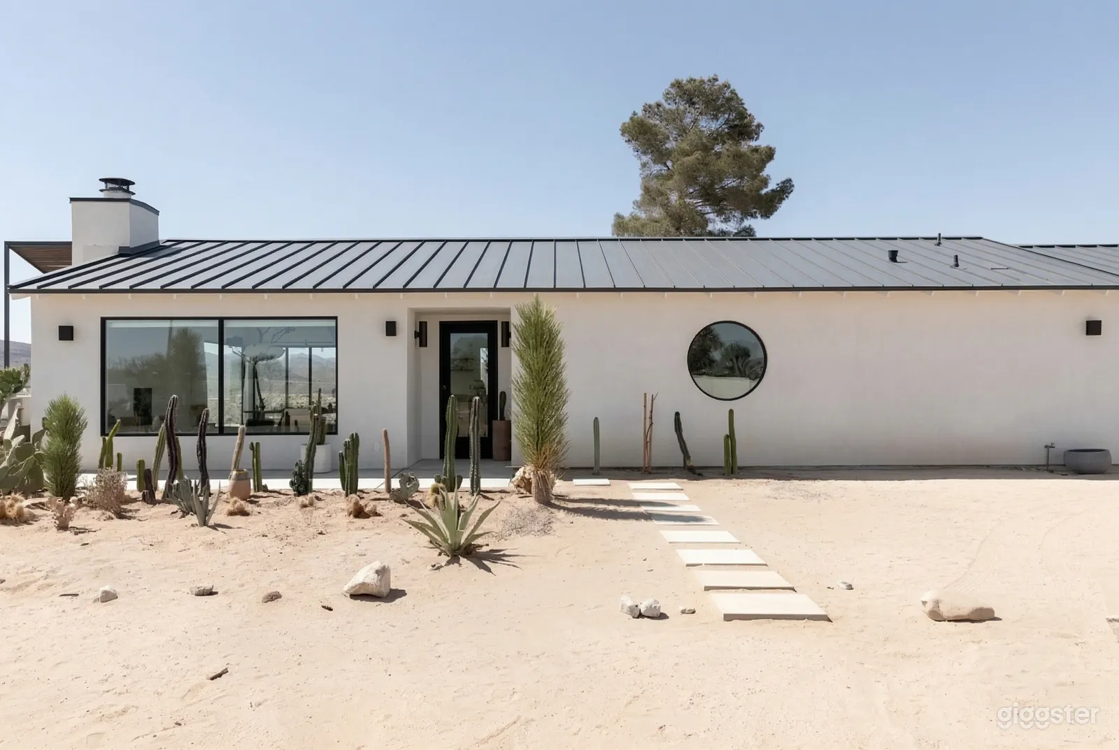 A long modern bungalow sits on a desert lot with a row of small cacti in front of the house.