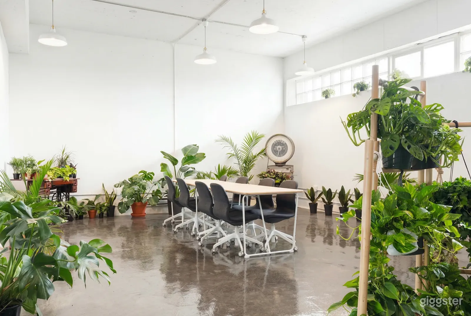 A long table with eight black chairs sits in a large event room filled with plants of all types and sizes.