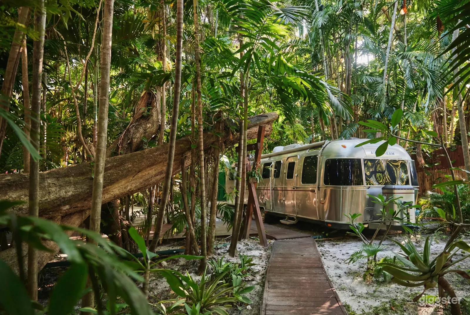 A large silver trailer in an outdoor setting filled with lush trees.