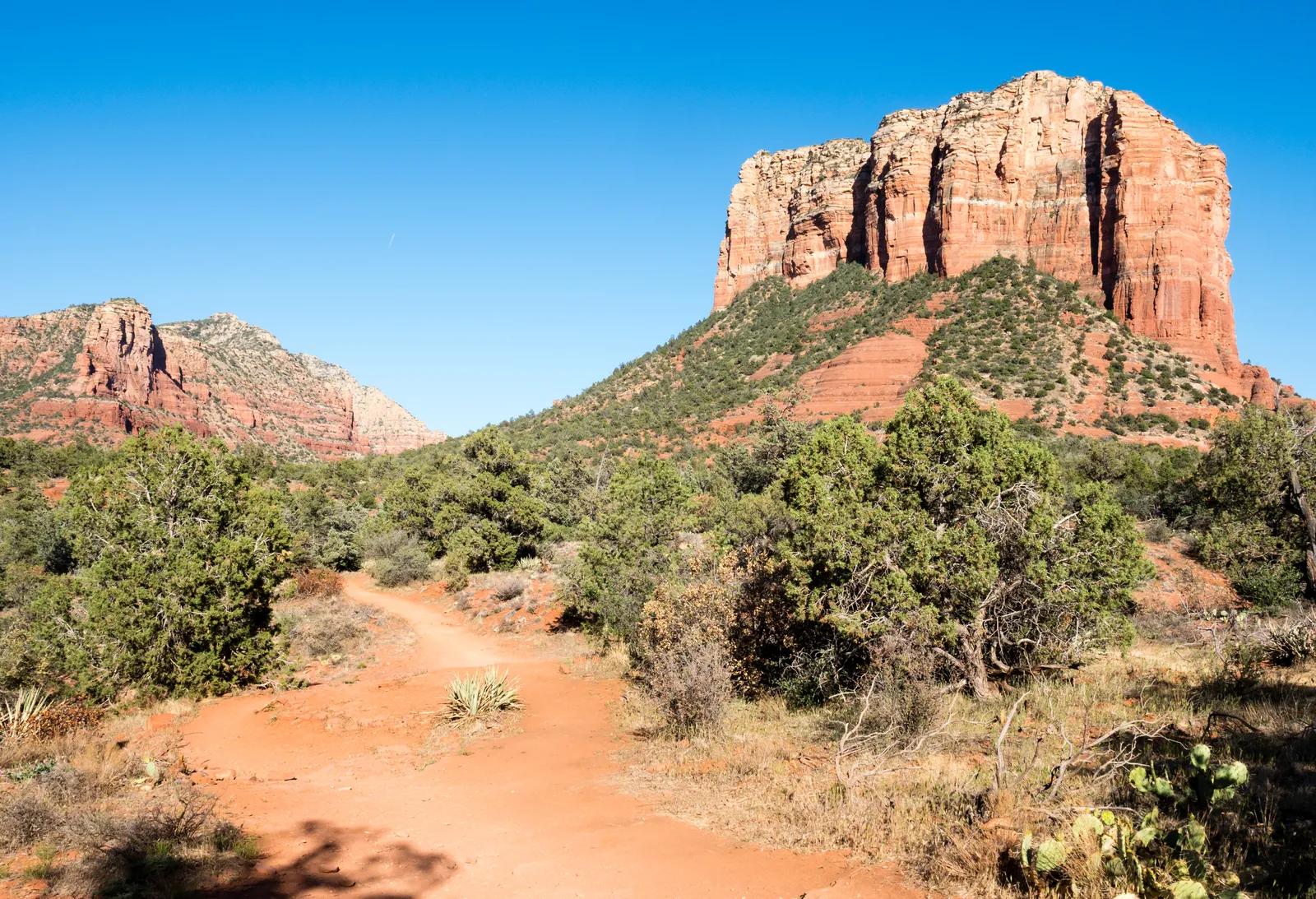 Quirt returns to the farm scene in Angel and the Badman