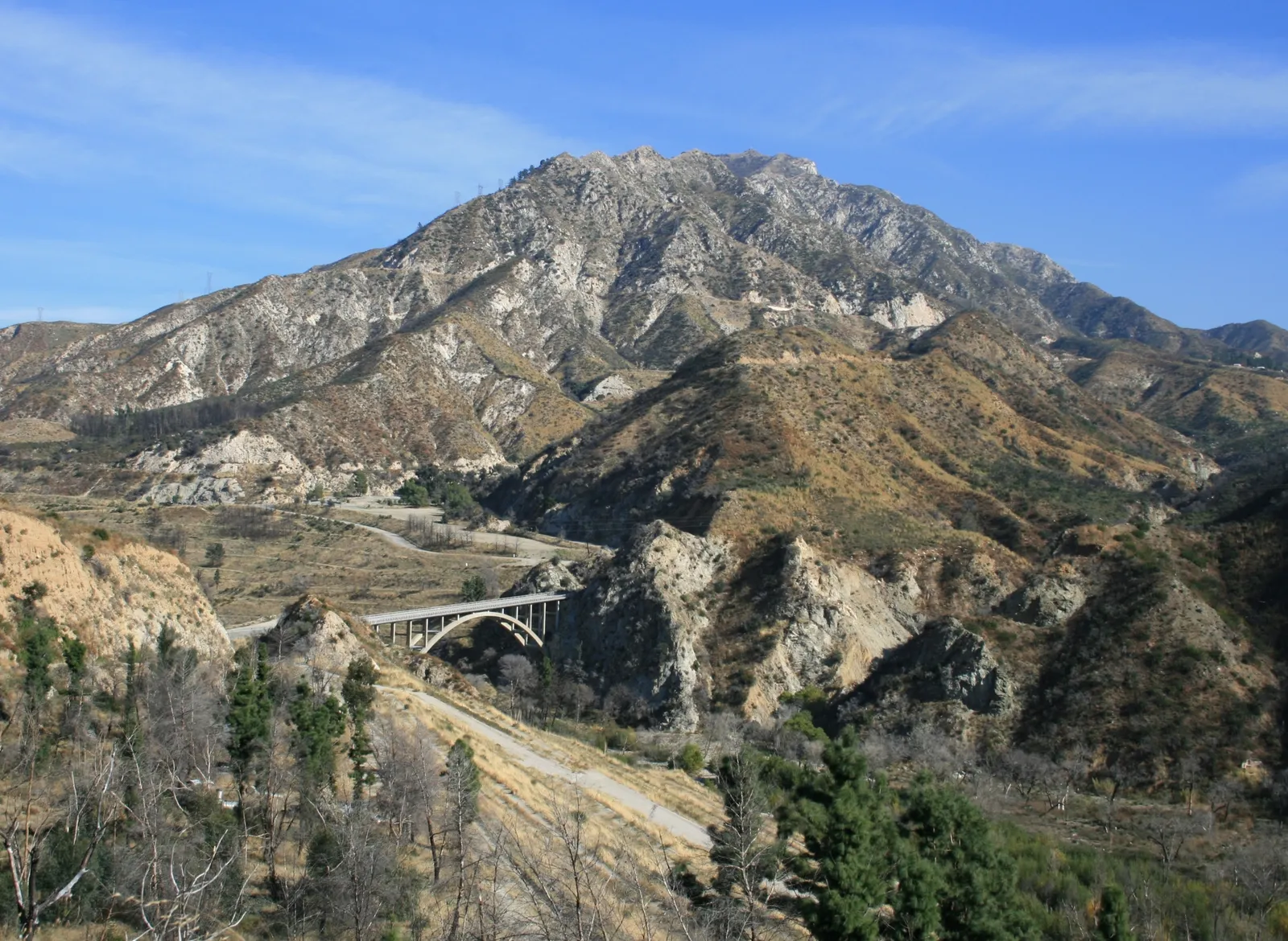 Mercer drives on the bridge and the tragic accident scene in The Circle