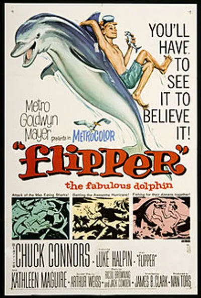 Flipper movie cover
