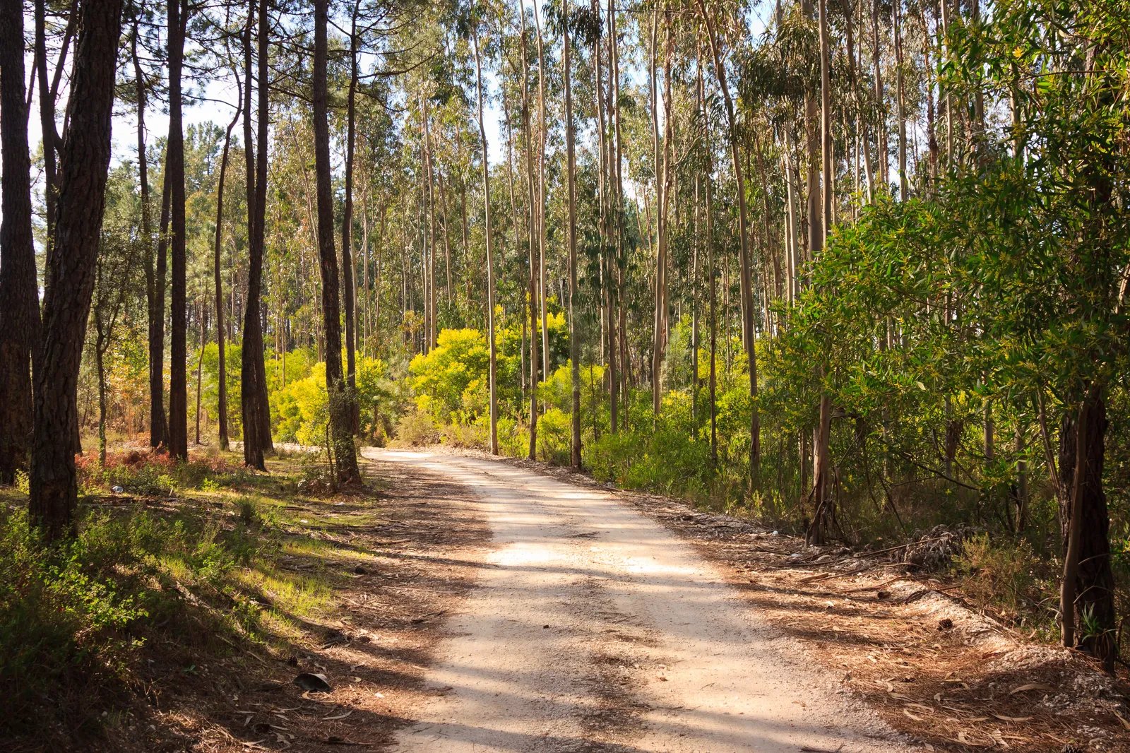 Pre-crime find John and Agatha scene in Minority Report