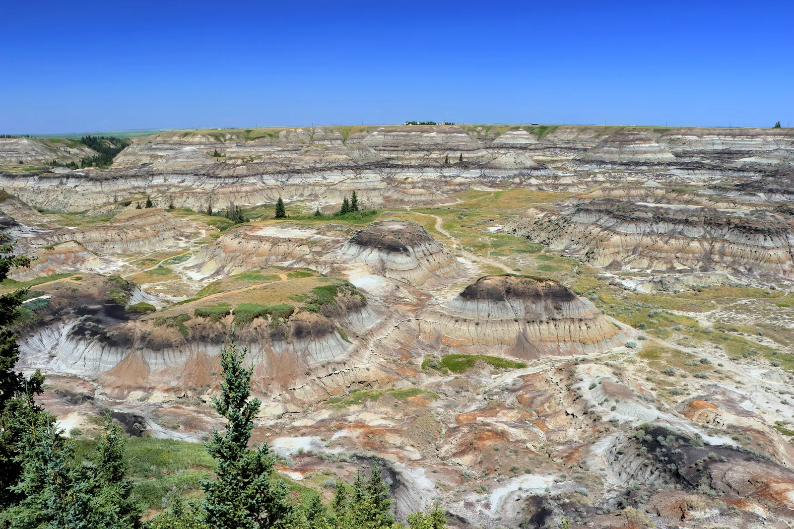 Fitzgerald sees a meteorite scene in The Revenant