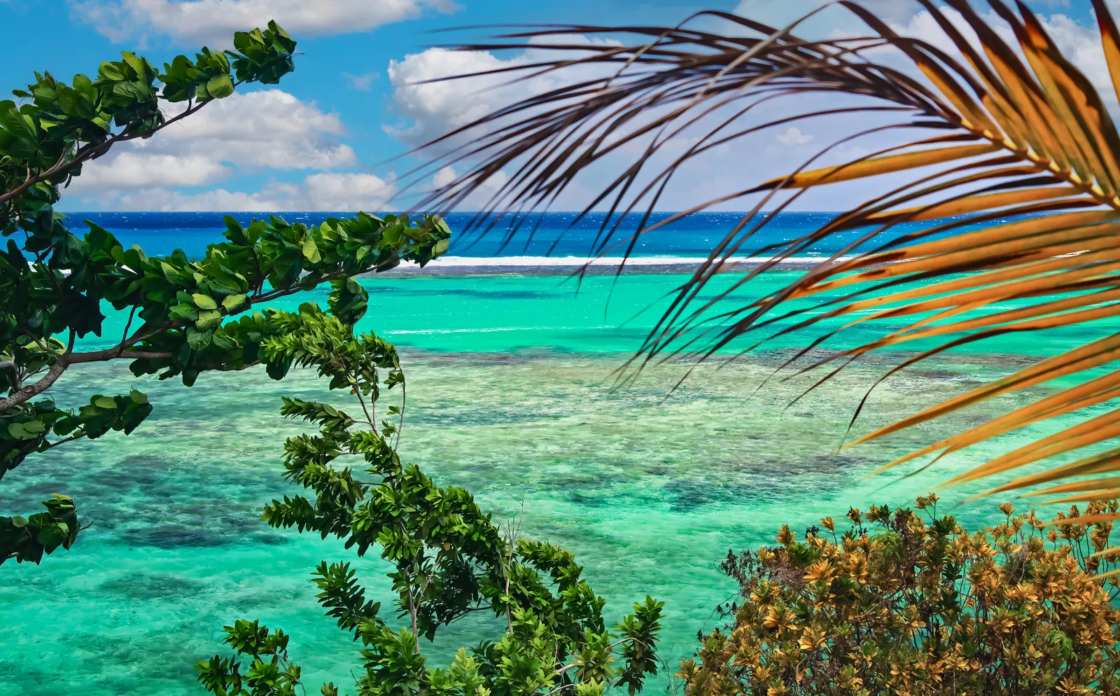 Bond’s retirement scene in No Time to Die