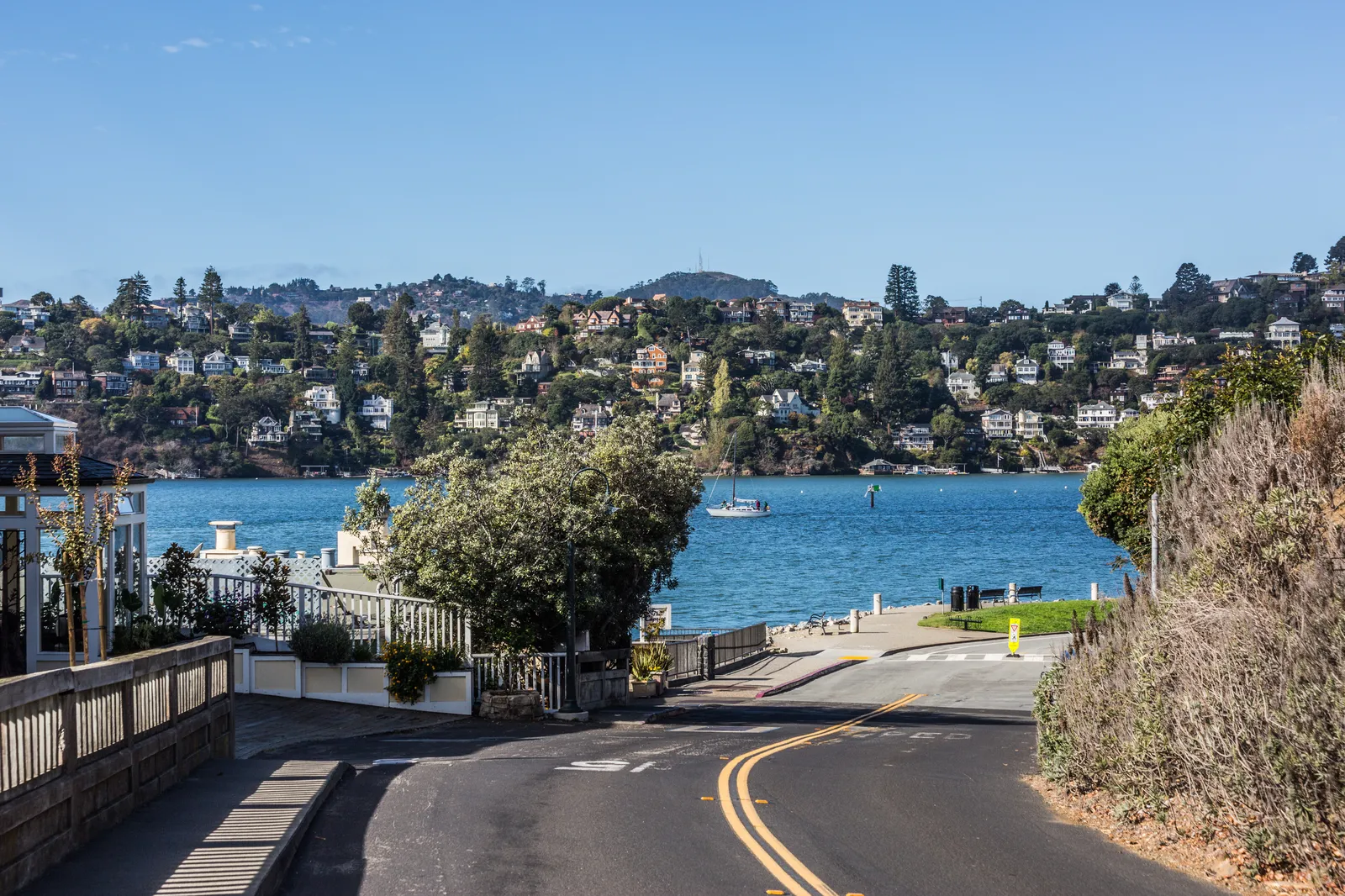The trio reunites with their human family scene in Homeward Bound II: Lost in San Francisco