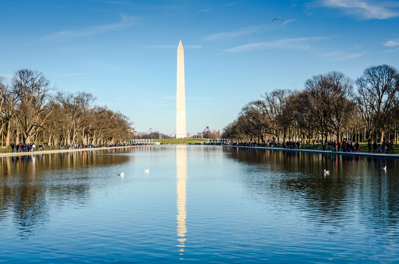 Where Was Forrest Gump Filmed? Complete Filming Locations Guide