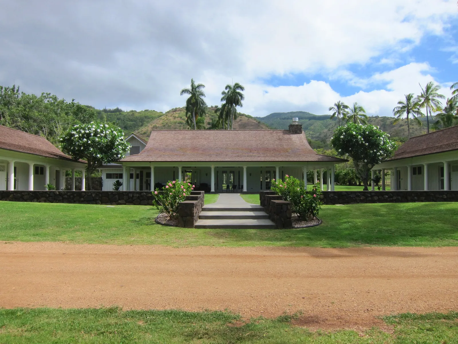 Lucy and her father crash into a tree while getting pineapples for his birthday scene in 50 First Dates