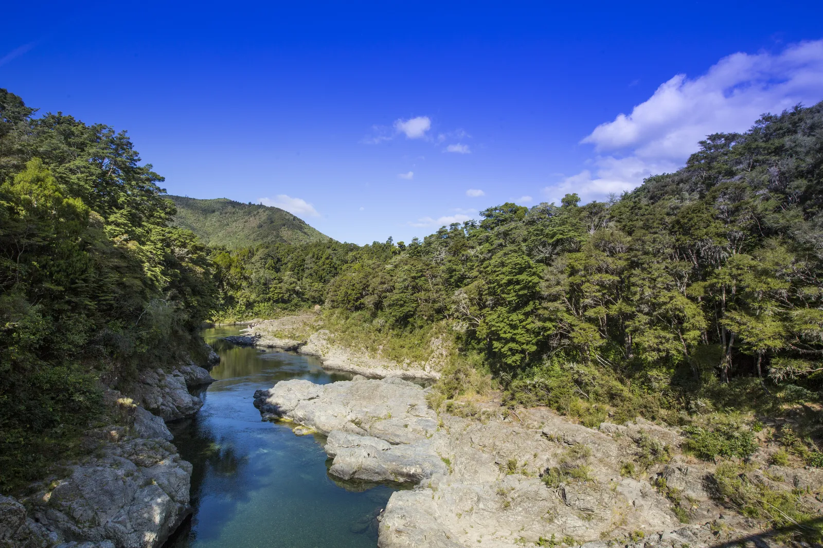 The dwarves escape in barrels scene in The Hobbit