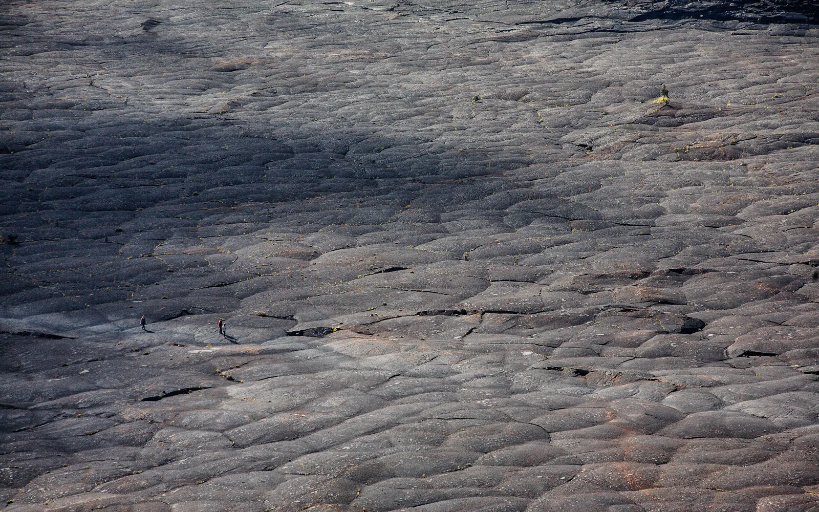 Battle scene in Planet of the Apes