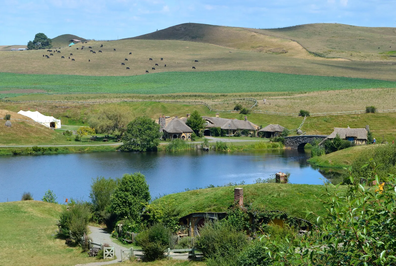 Bilbo hosts party for the dwarves scene in The Hobbit