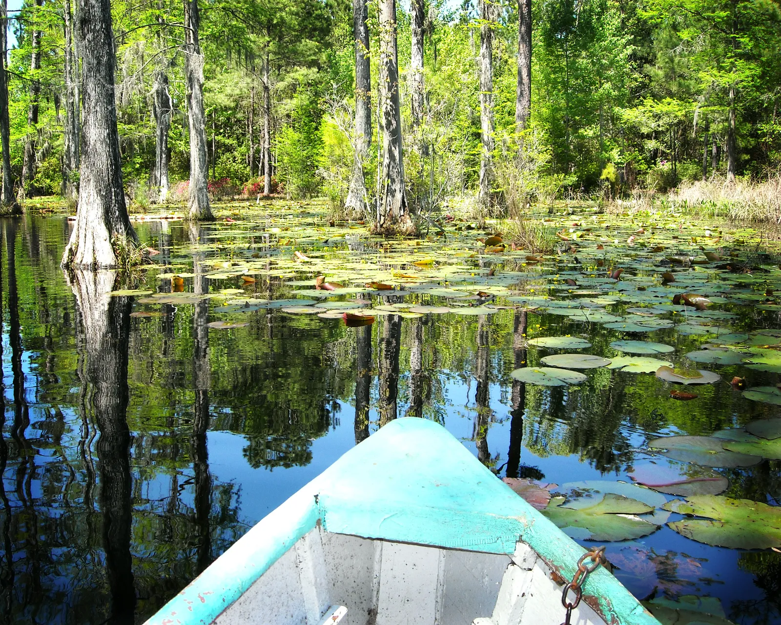 Romantic kayak tour date in Safe Haven