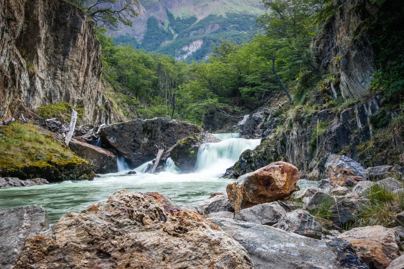 The final showdown scene in The Revenant