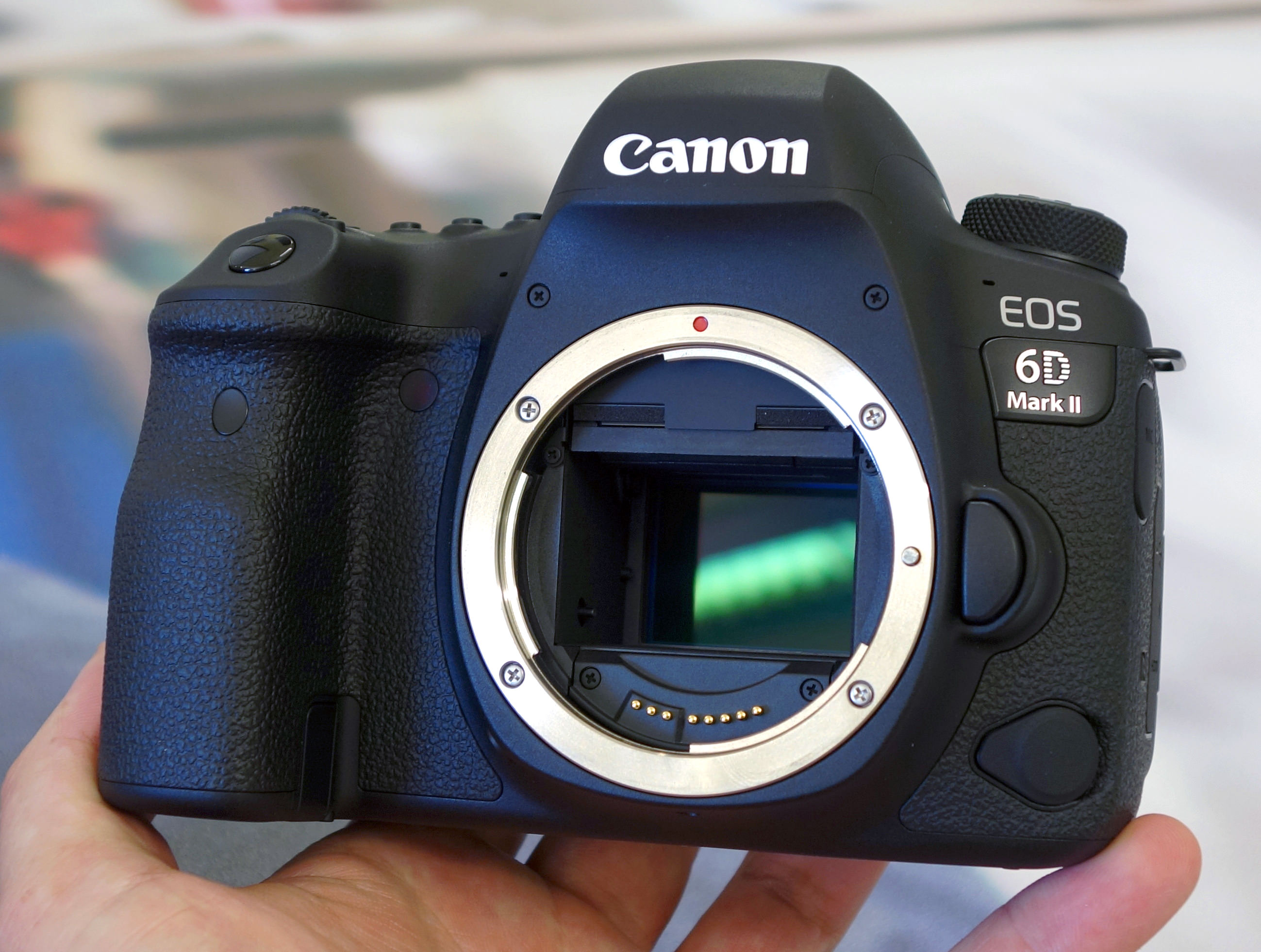 Canon EOS 6D Mark II Review