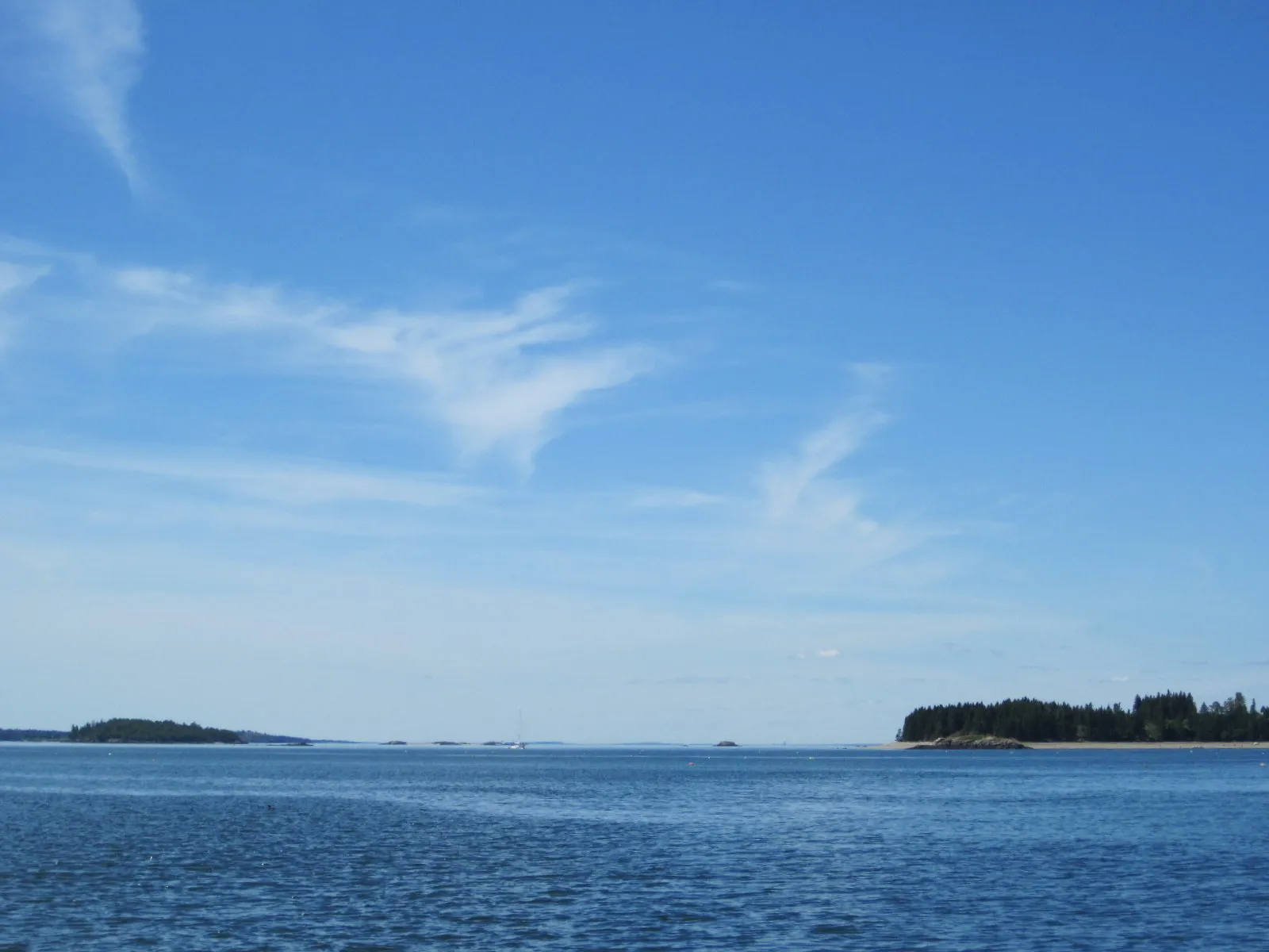 Lemar killed Agatha’s mom scene in Minority Report