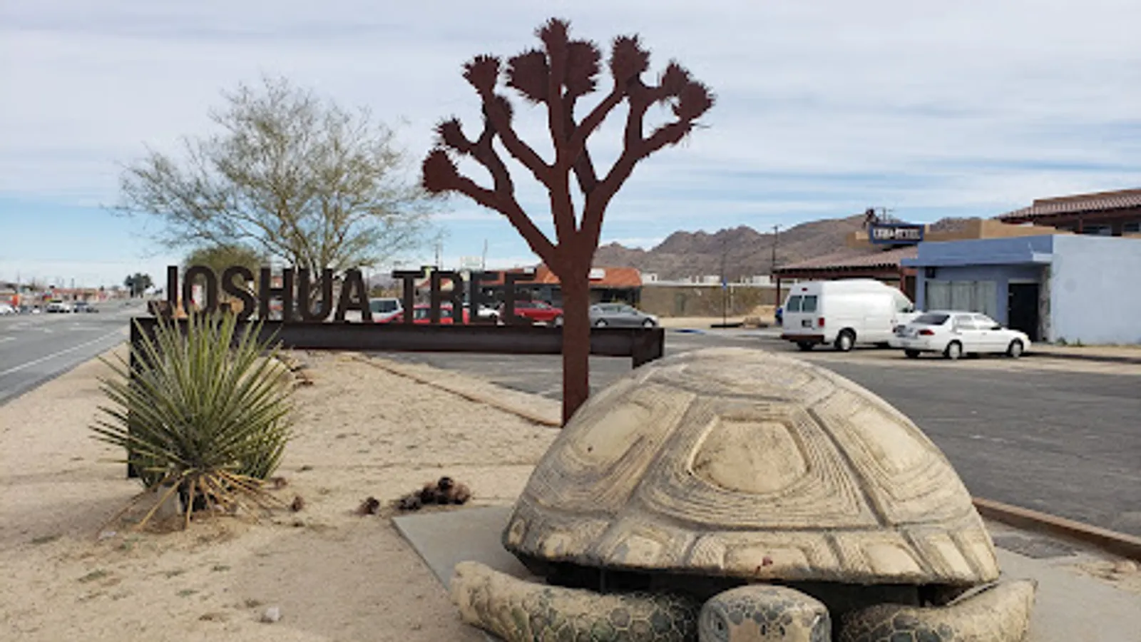 Filming in Joshua Tree, CA