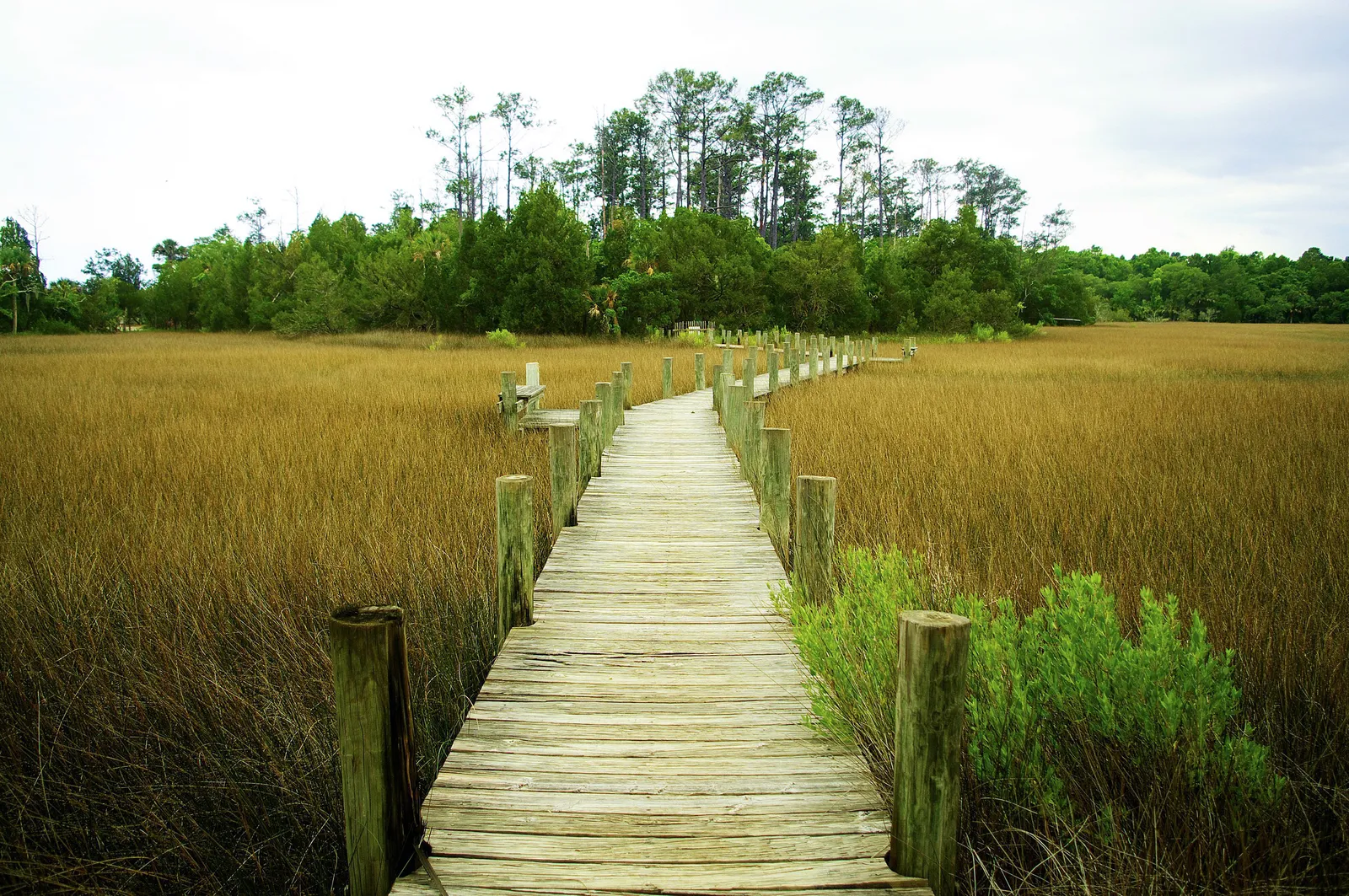 John B falls off the observation deck scene in Outer Banks