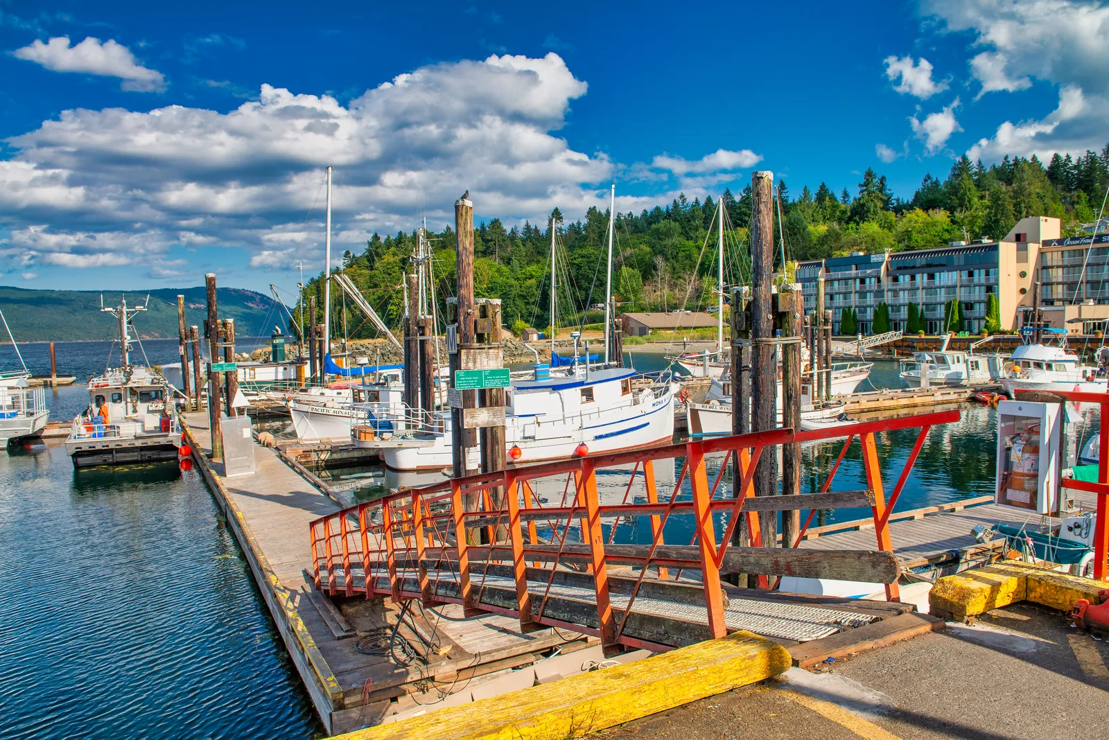 He’s alive scene in The Fog