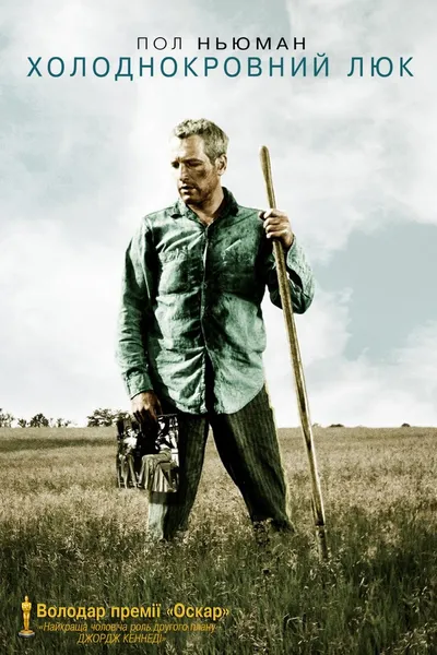 Cool Hand Luke movie cover