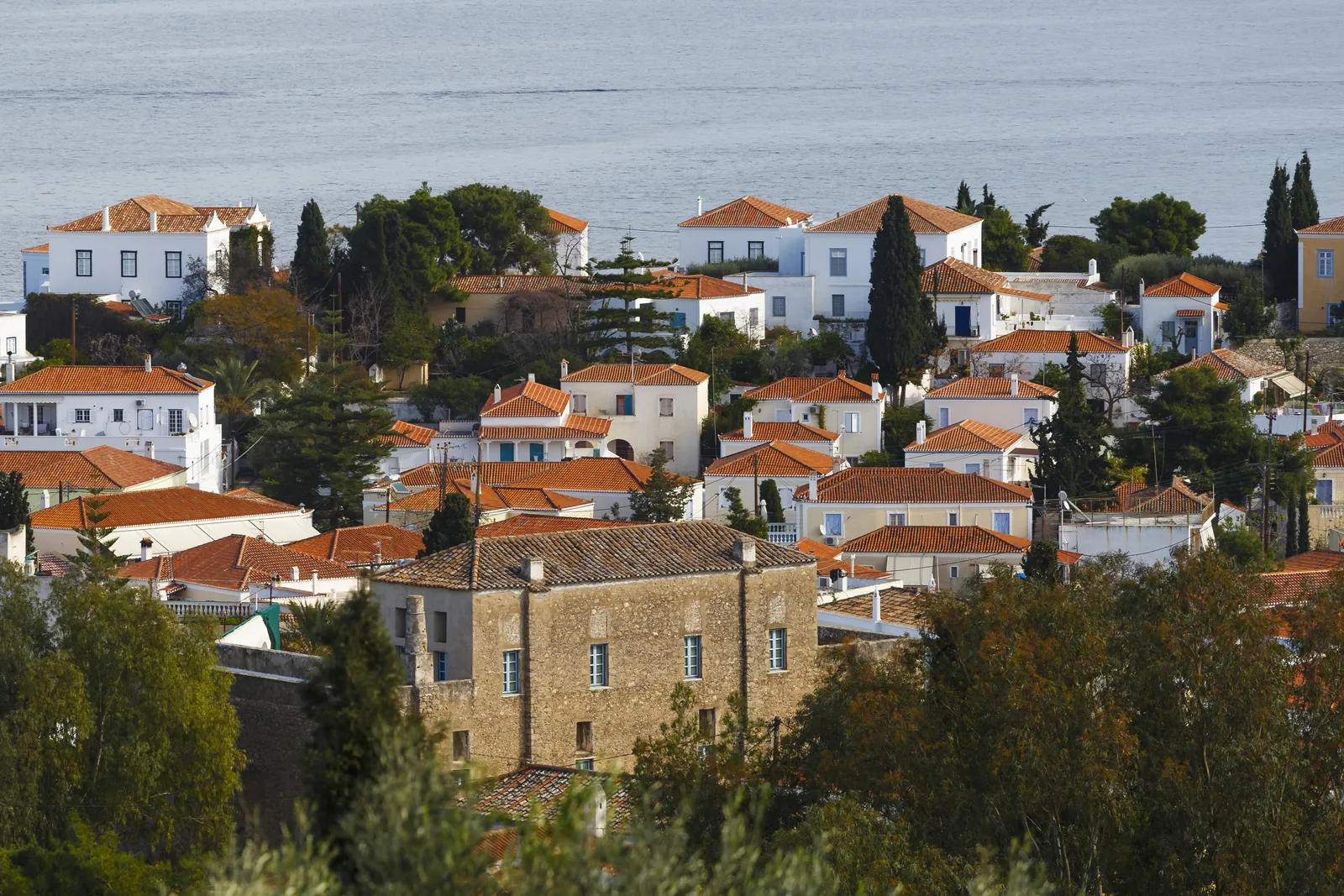 Leda goes to watch a movie scene in Lost Daughter